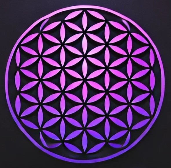 AIQ Hair Logo